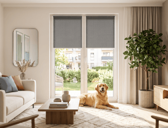 Ground-floor apartment – how can you maintain privacy without covering the entire window?