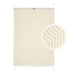 Beige Window Pleated Blind