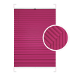 Raspberry Window Pleated Blind