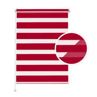 Raspberry Day and Night Blind