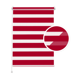 Raspberry Day and Night Blind