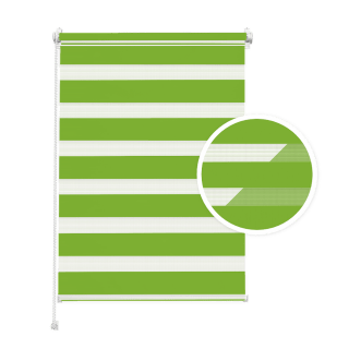 Green Day and Night Blind