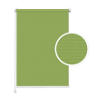 Spring Green No. 2 Standard Roller Blind