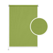 Spring Green No. 1 Standard Roller Blind